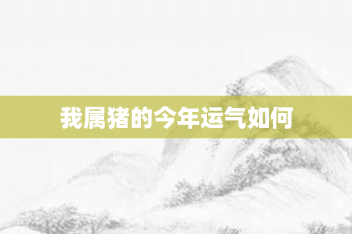 我属猪的今年运气如何