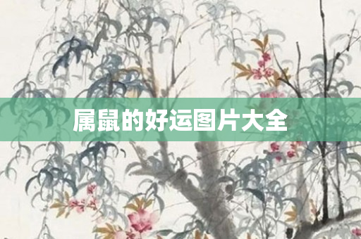 属鼠的好运图片大全