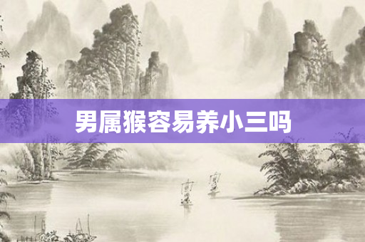 男属猴容易养小三吗