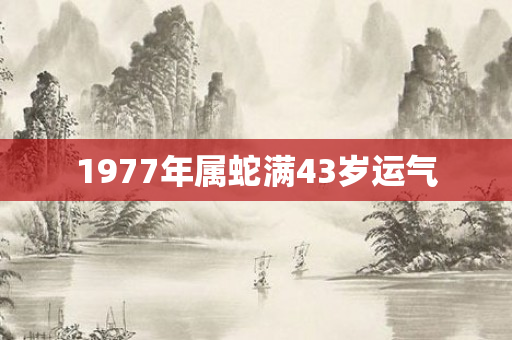 1977年属蛇满43岁运气