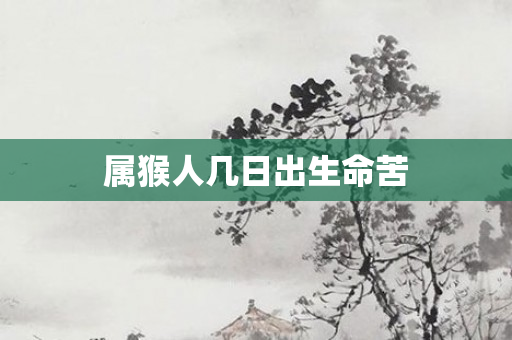 属猴人几日出生命苦