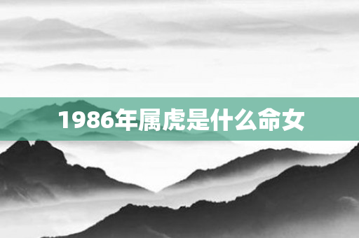 1986年属虎是什么命女