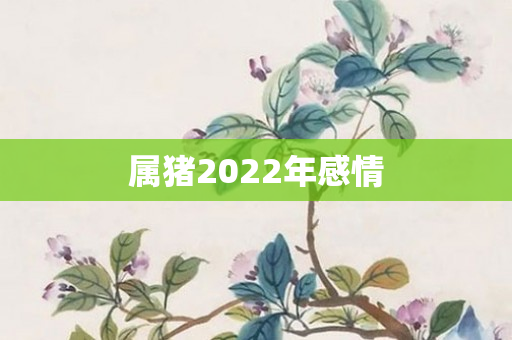 属猪2022年感情