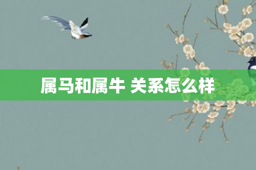 属马和属牛 关系怎么样