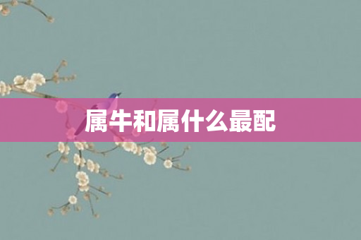 属牛和属什么最配