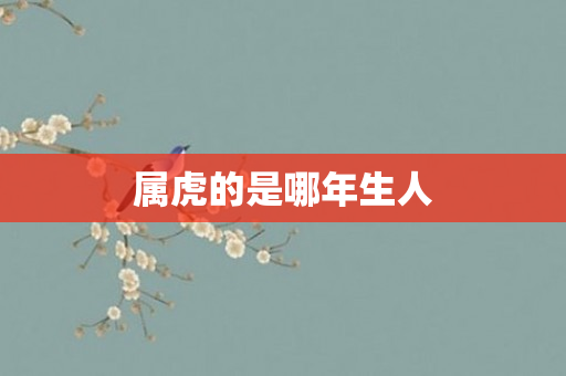 属虎的是哪年生人