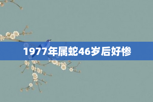 1977年属蛇46岁后好惨