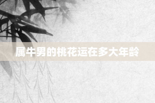 属牛男的桃花运在多大年龄