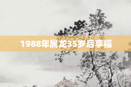 1988年属龙35岁后享福