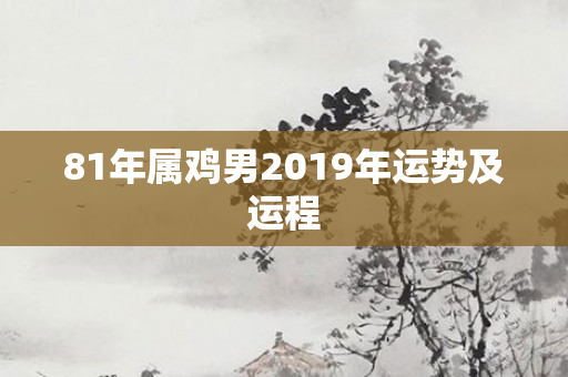 81年属鸡男2019年运势及运程