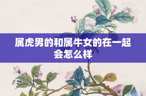 属虎男的和属牛女的在一起会怎么样