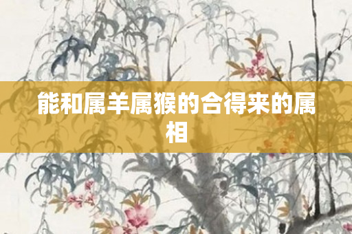 能和属羊属猴的合得来的属相