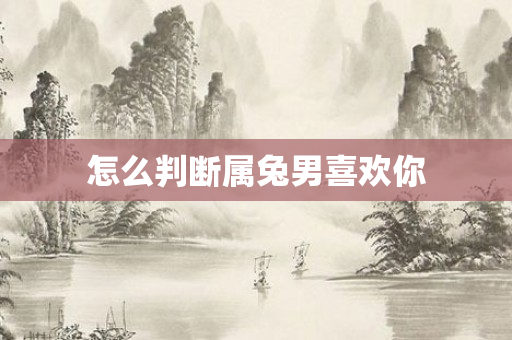 怎么判断属兔男喜欢你