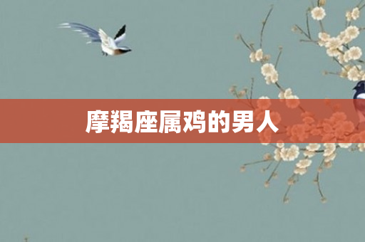 摩羯座属鸡的男人