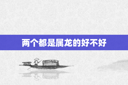 两个都是属龙的好不好