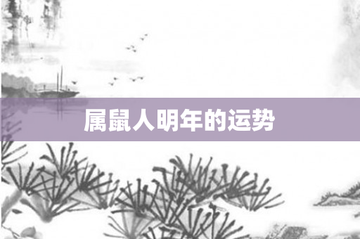 属鼠人明年的运势