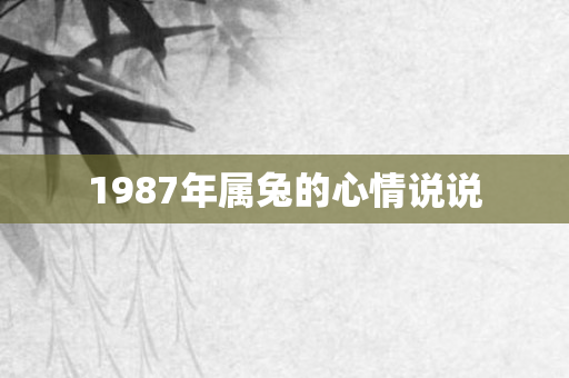 1987年属兔的心情说说