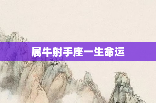 属牛射手座一生命运