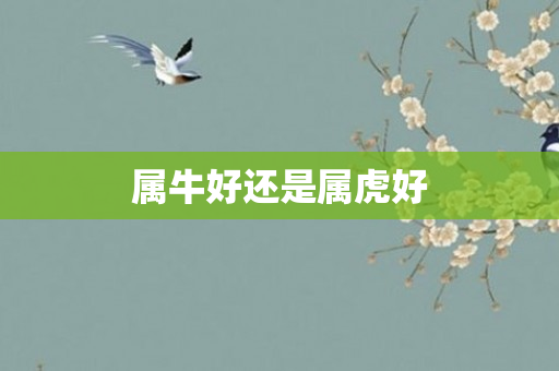 属牛好还是属虎好
