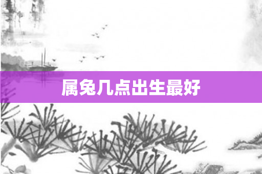 属兔几点出生更好