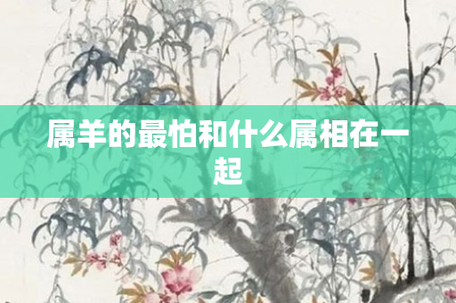 属羊的最怕和什么属相在一起