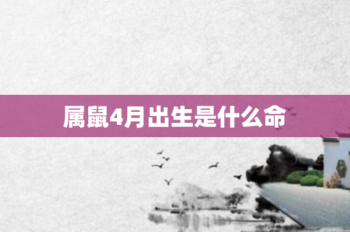 属鼠4月出生是什么命