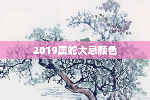 2019属蛇大忌颜色
