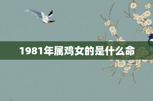 1981年属鸡女的是什么命