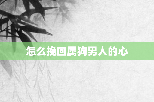 怎么挽回属狗男人的心