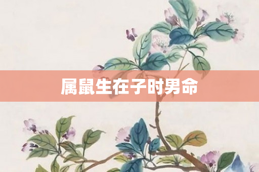 属鼠生在子时男命