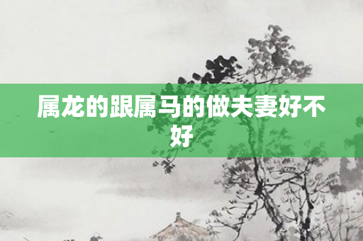属龙的跟属马的做夫妻好不好