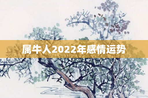 属牛人2022年感情运势