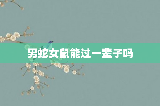 男蛇女鼠能过一辈子吗