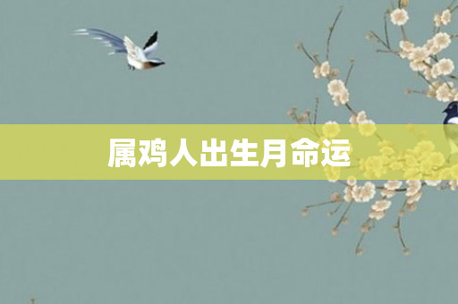 属鸡人出生月命运