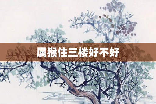 属猴住三楼好不好