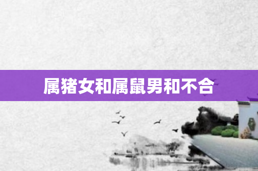 属猪女和属鼠男和不合