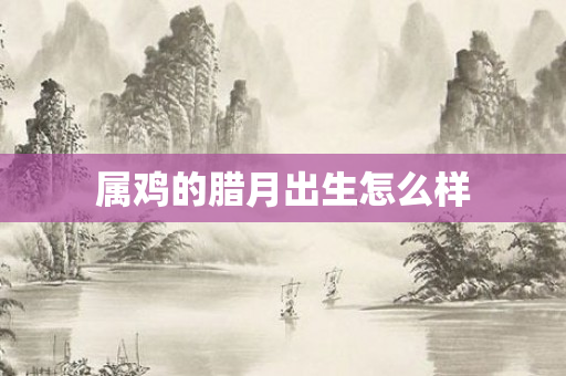 属鸡的腊月出生怎么样