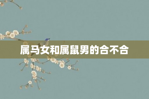 属马女和属鼠男的合不合
