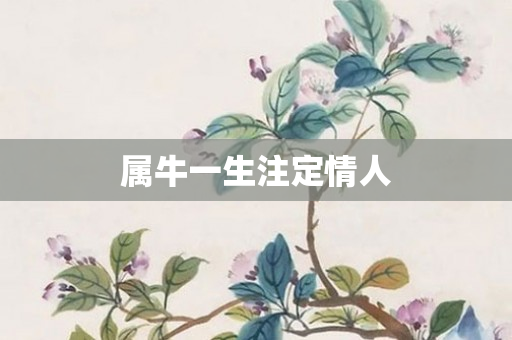 属牛一生注定情人