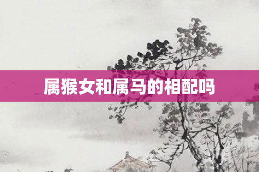 属猴女和属马的相配吗