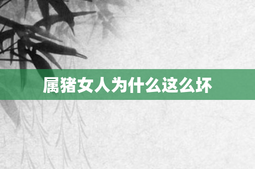 属猪女人为什么这么坏