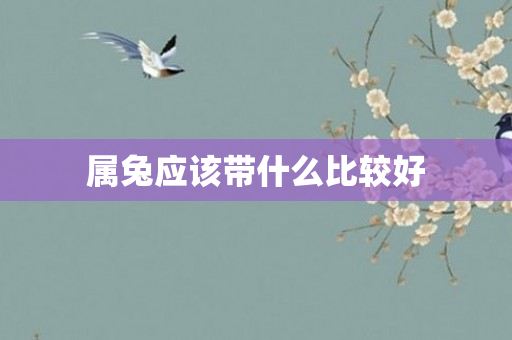 属兔应该带什么比较好