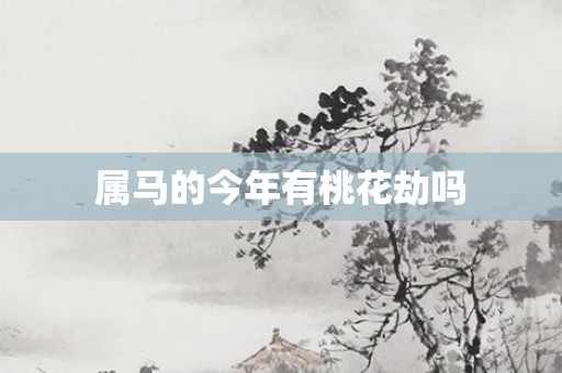 属马的今年有桃花劫吗