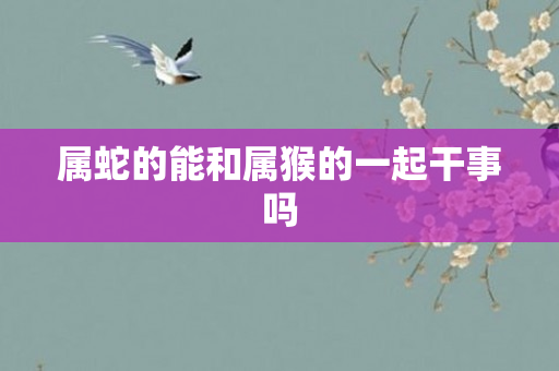 属蛇的能和属猴的一起干事吗