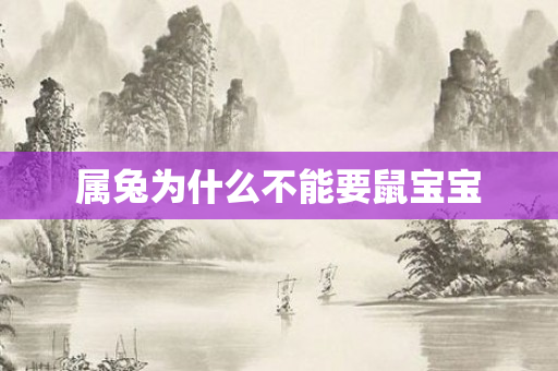 属兔为什么不能要鼠宝宝