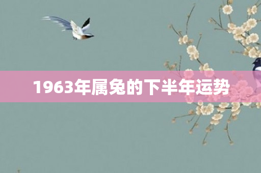 1963年属兔的下半年运势