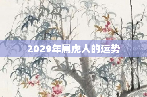 2029年属虎人的运势