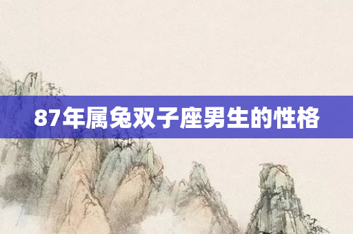 87年属兔双子座男生的性格