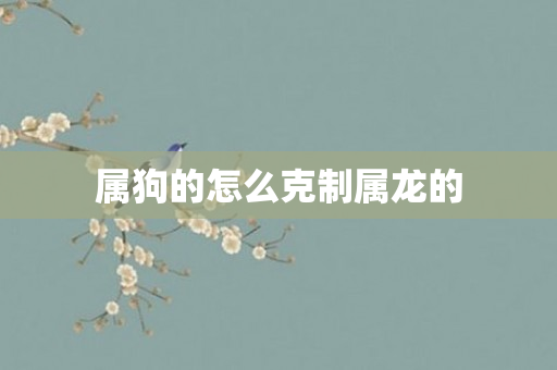 属狗的怎么克制属龙的