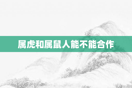 属虎和属鼠人能不能合作